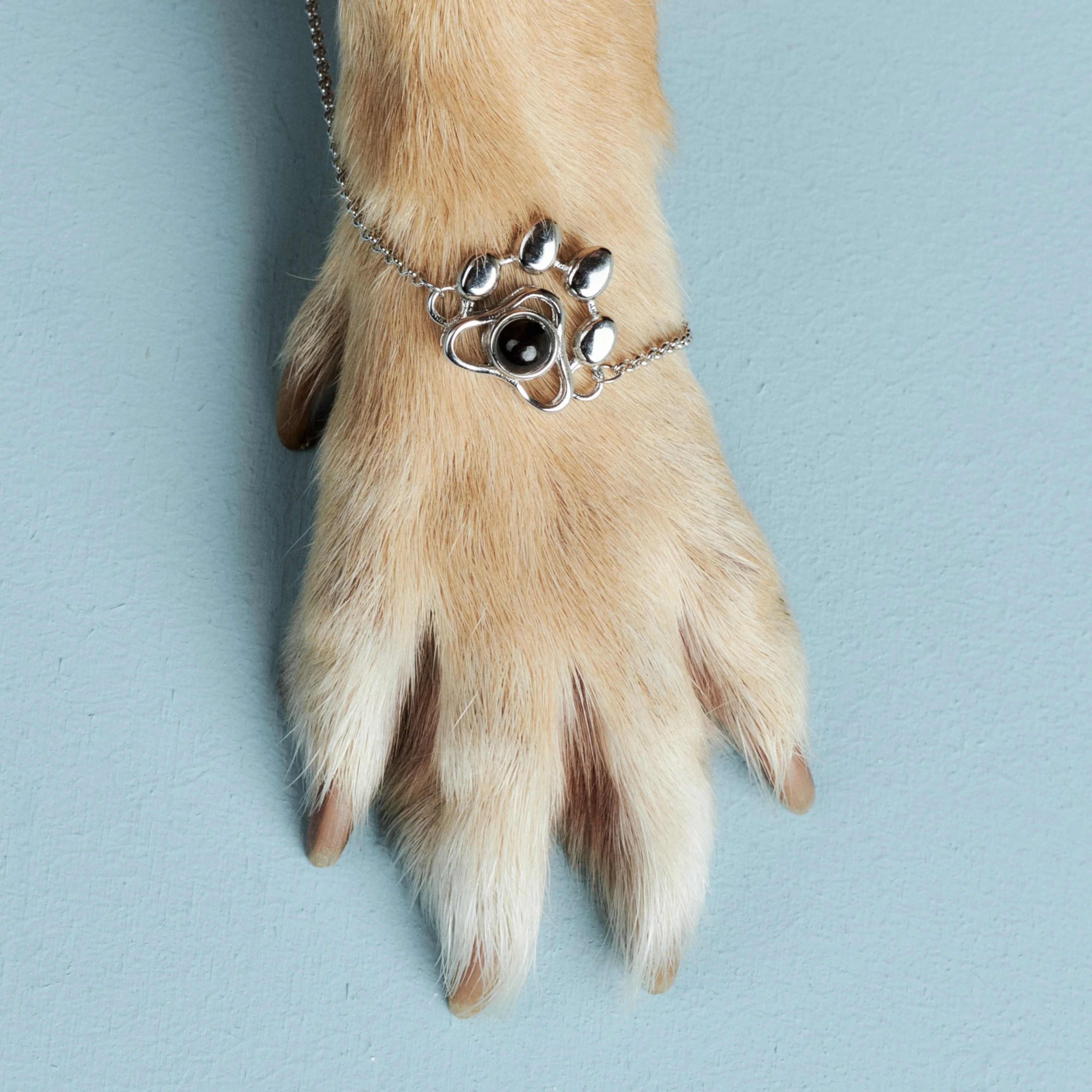 Браслет лапка аксессуар для любителя собак