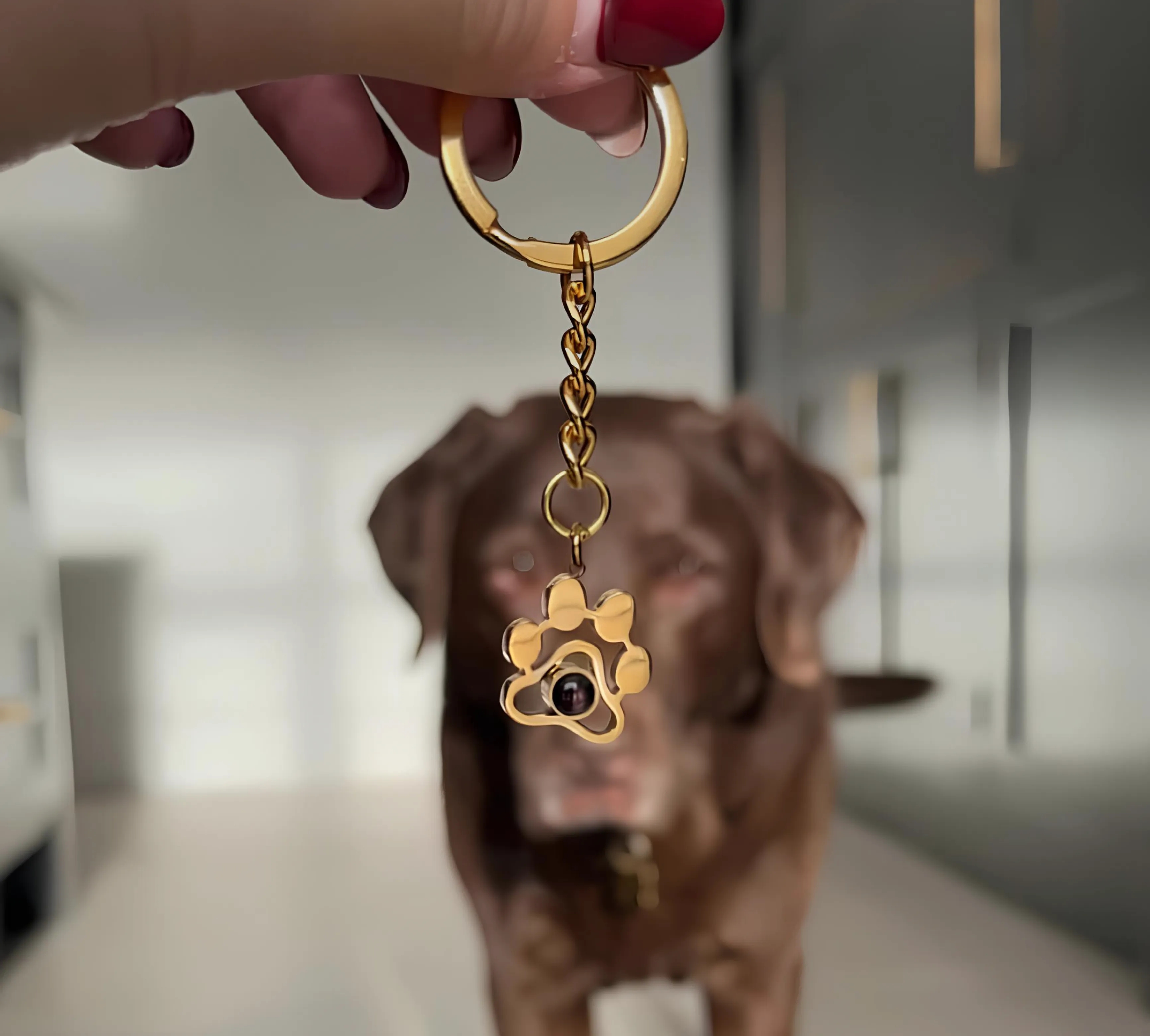 Сувенирный брелок лапка для ключей серебро